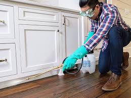 Real Estate Pest Inspections in Lagrange, GA